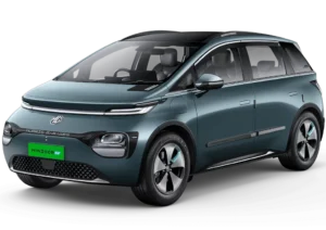 Windsor EV features
